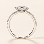 Alba ring on an off-white background